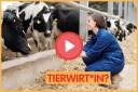 #Erklärvideo: Tierwirt*in!